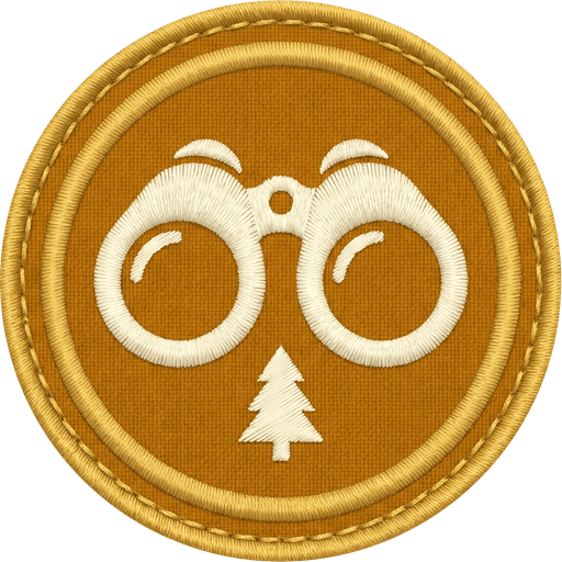 Parent patch